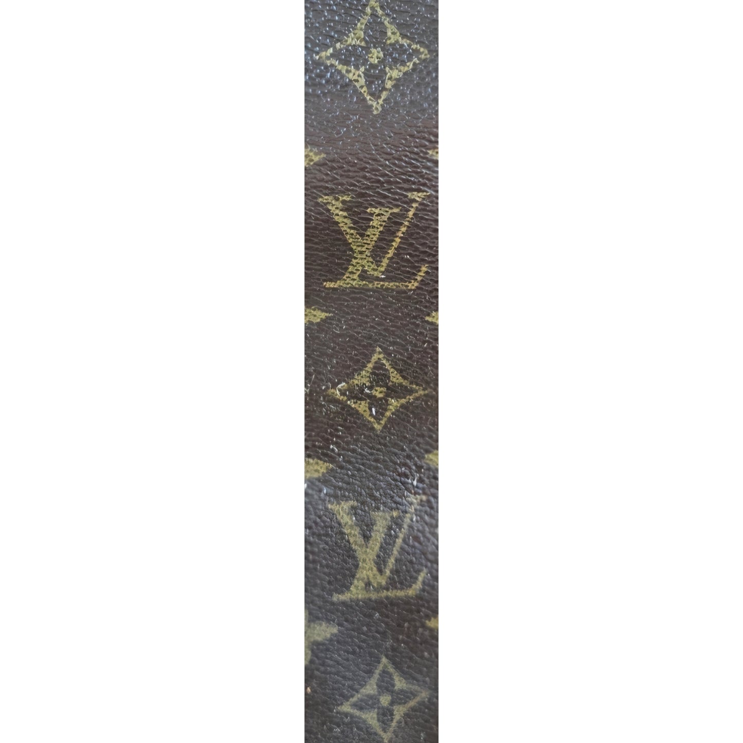 Collier pour animal de compagnie sur mesure fait main