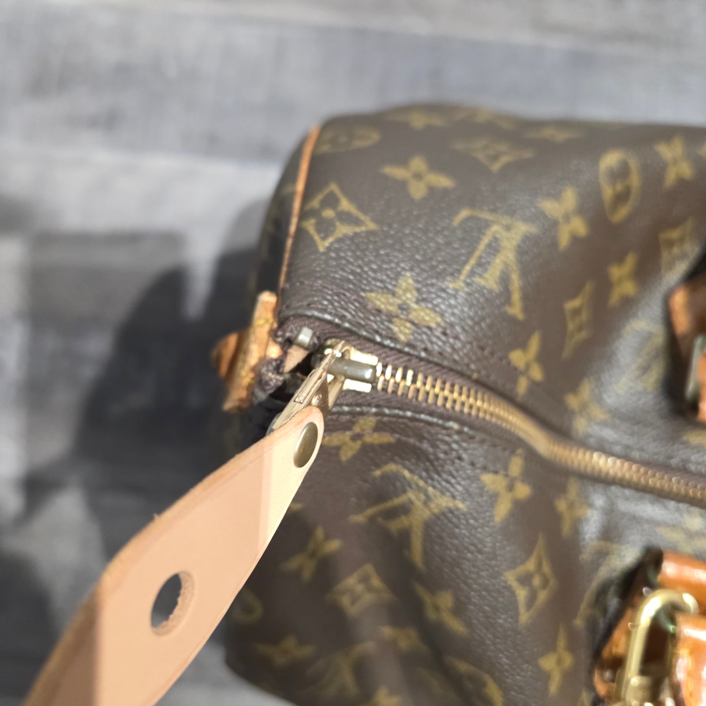 Sac Louis Vuitton Speedy 40